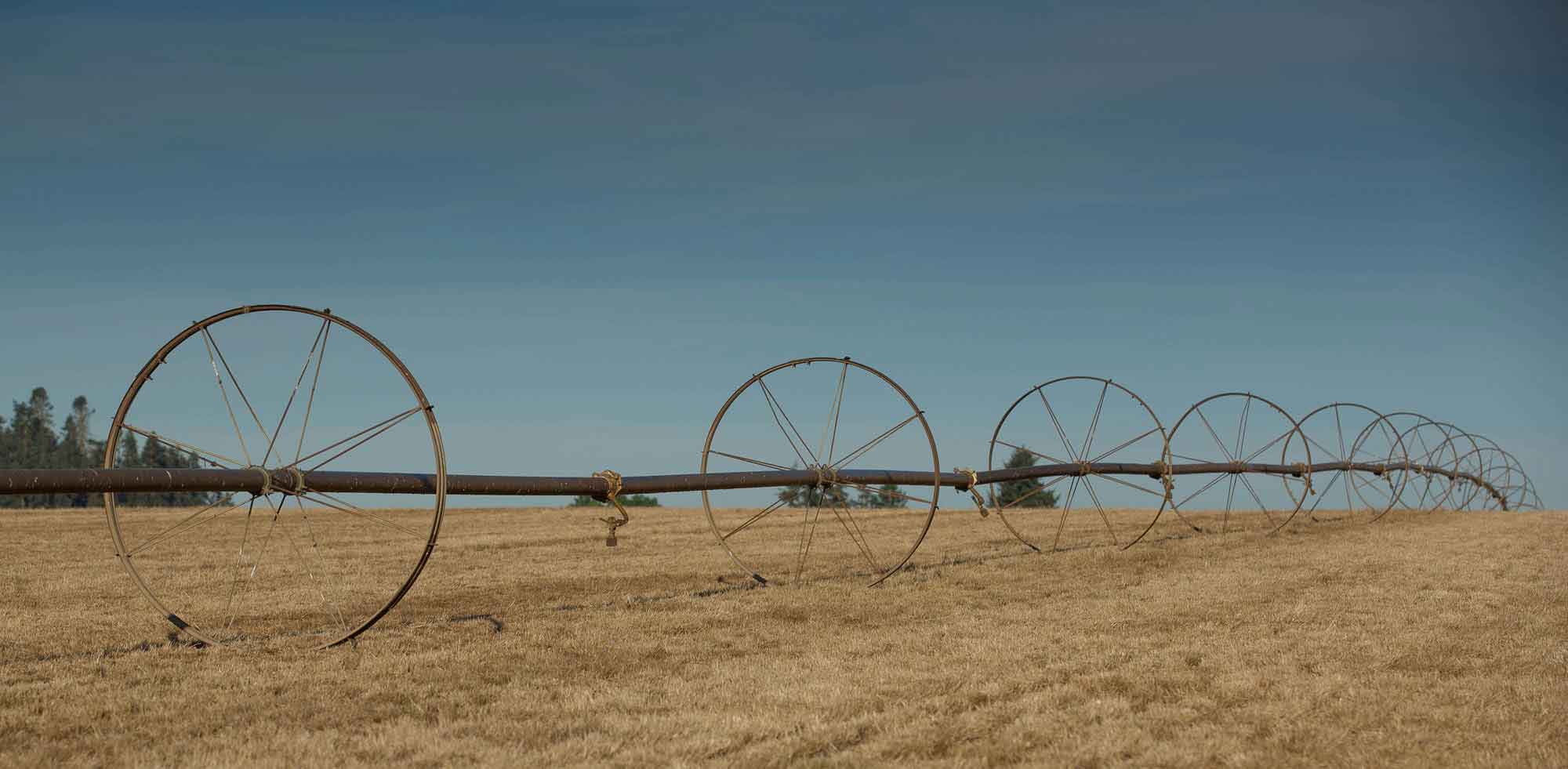 Farm watering on a big scale